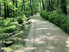 -杭州西湖风景名胜区-满觉陇四眼井