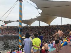 -秦皇岛乐岛海洋王国