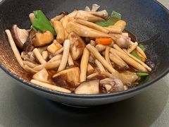鲍汁茶树菇-沙龙酒家