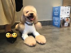 -MOLLY'S萌宠生活馆