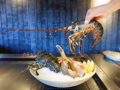 澳洲青龙-岩也·日料与酒(龙岗天安云谷店)