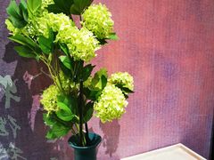 -蜀九香.正宗成都火锅(安吉店)