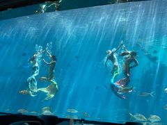 -瑞德姆美人鱼海底演艺主题餐厅(亚龙湾店)