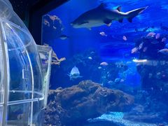 -海合安武汉极地海洋公园