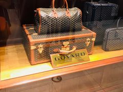 -Goyard 高雅德(国贸商城店)