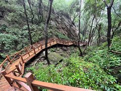 -大岭沟猕猴桃谷风景区