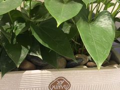 -观心实验室·心理咨询(上海旗舰店)