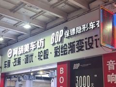 -阿胡BOP保镖隐形车衣(静安旗舰店)