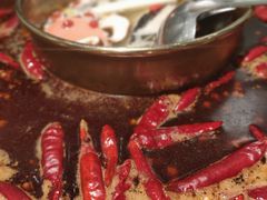 -蜀九香火锅(园艺山店)