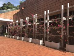 -香港大学