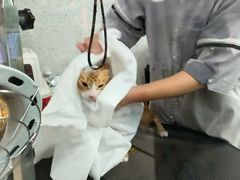 -宠物家(长阳店)
