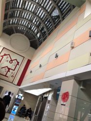 -复旦大学附属妇产科医院(杨浦院区)