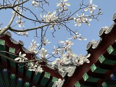-湛山寺