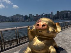 -星光大道