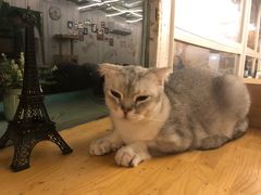 -小时光咖啡馆(北锣鼓巷店)