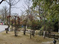 -成飞公园