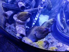 -成都浩海立方海洋公园