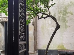 -黎里古镇