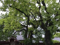 -热田神宫