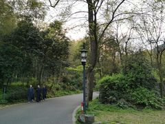 -法云安缦酒店