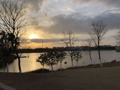 -上海长兴岛郊野公园