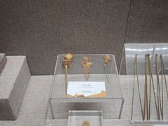 -烟台自然博物馆