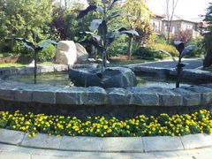 android_upload_pic-芭东小镇温泉