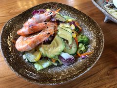 -more than meow吴止猫主题餐厅(承德 中船汇店)