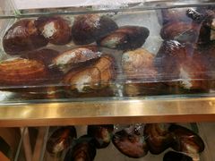 -十八字金银饰·拼豆·开蚌手工体验团建(君太百货店)