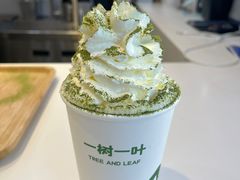 -一树一叶·福建茶档(石鼓路店)