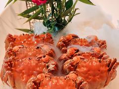 熟醉蟹-鱼翅楼·津派砂锅鱼翅(水上公园店)