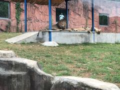 -无锡动物园·太湖欢乐园