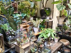 -弗劳尔花艺坊(龙涛店)