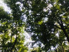 -三门江国家森林公园