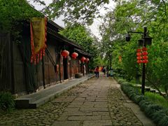 -西溪国家湿地公园