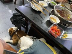 火锅兔-水碾河肥兔火锅(水碾河店)