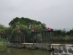 -长兴太湖图影湿地文化园