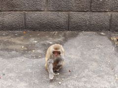 -白帝城·瞿塘峡景区