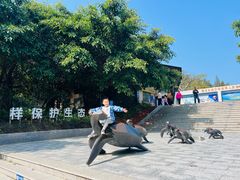-广东惠东海龟国家级自然保护区