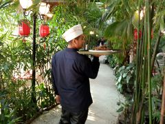 过道遇服务员-大鹅岛绿色生态美食园