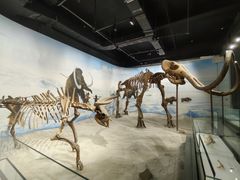 -辽宁古生物博物馆