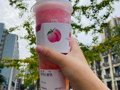 树夏水蜜桃-树夏(建设路店)