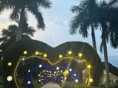 -东南花都花博园