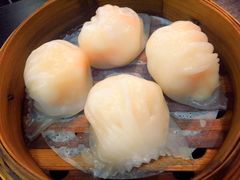 招牌虾饺皇-添运来(茶园奥园广场店)