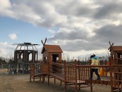 -上海长兴岛郊野公园