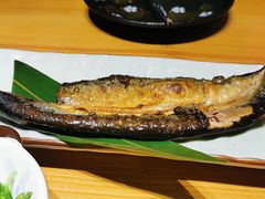 -锦鲤堂日本料理(莱茵之星店)