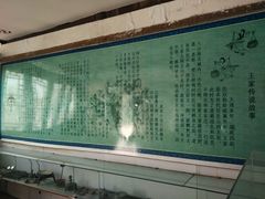 -王家大院