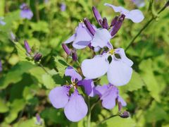 -崂山九水游览区