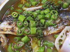 -探鱼·鲜青椒爽麻烤鱼(银泰城店)