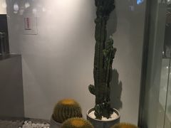 -喜茶(深圳东门1234店)